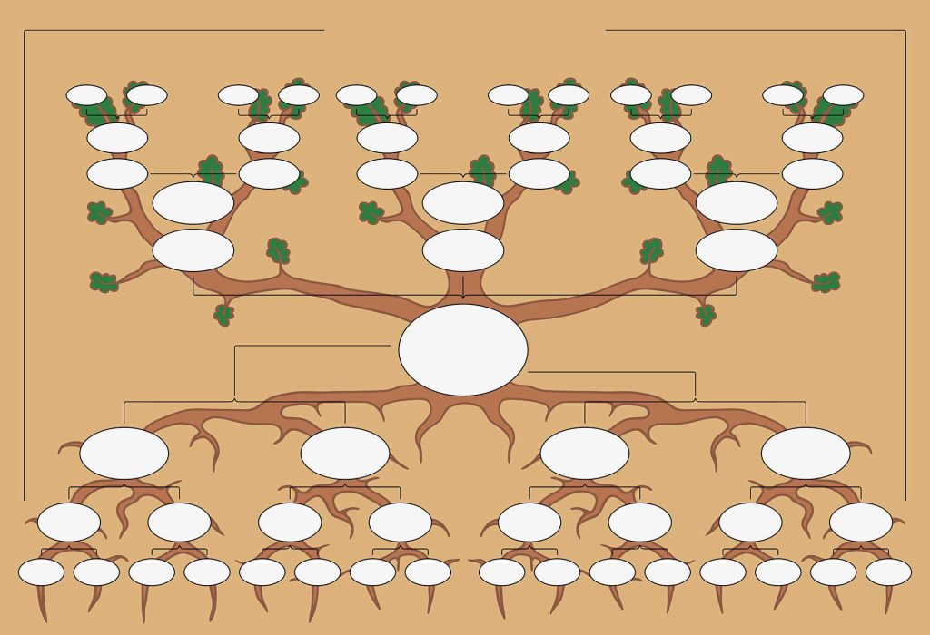 The Pedigree of Chickens