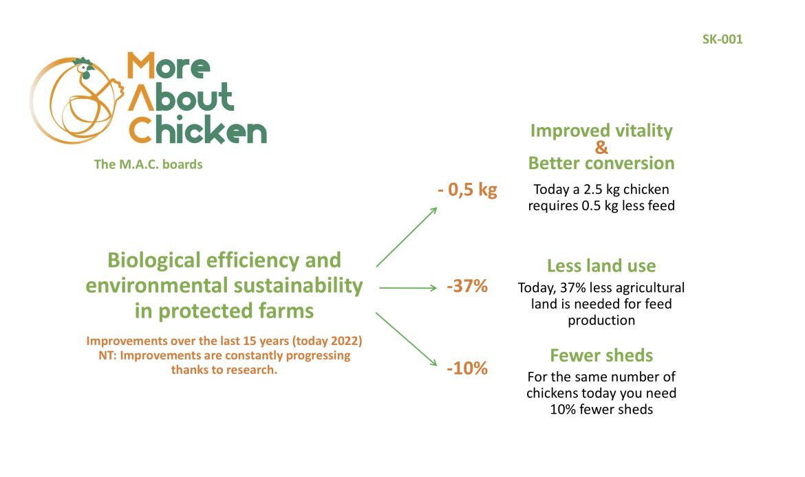 Improvements over the last 15 years in the Organic Efficiency and Environmental Sustainability of conventional chicken
