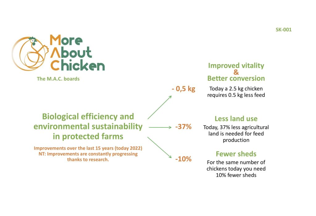 Improvements over the last 15 years in the Organic Efficiency and Environmental Sustainability of conventional chicken