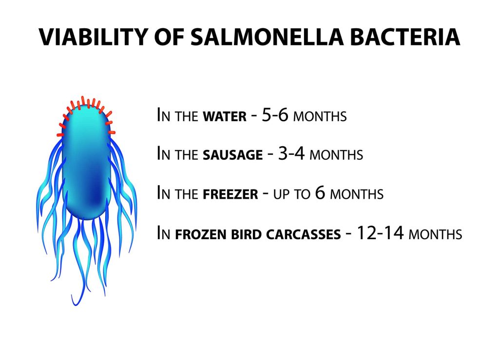 Salmonella: US less prepared than Europe