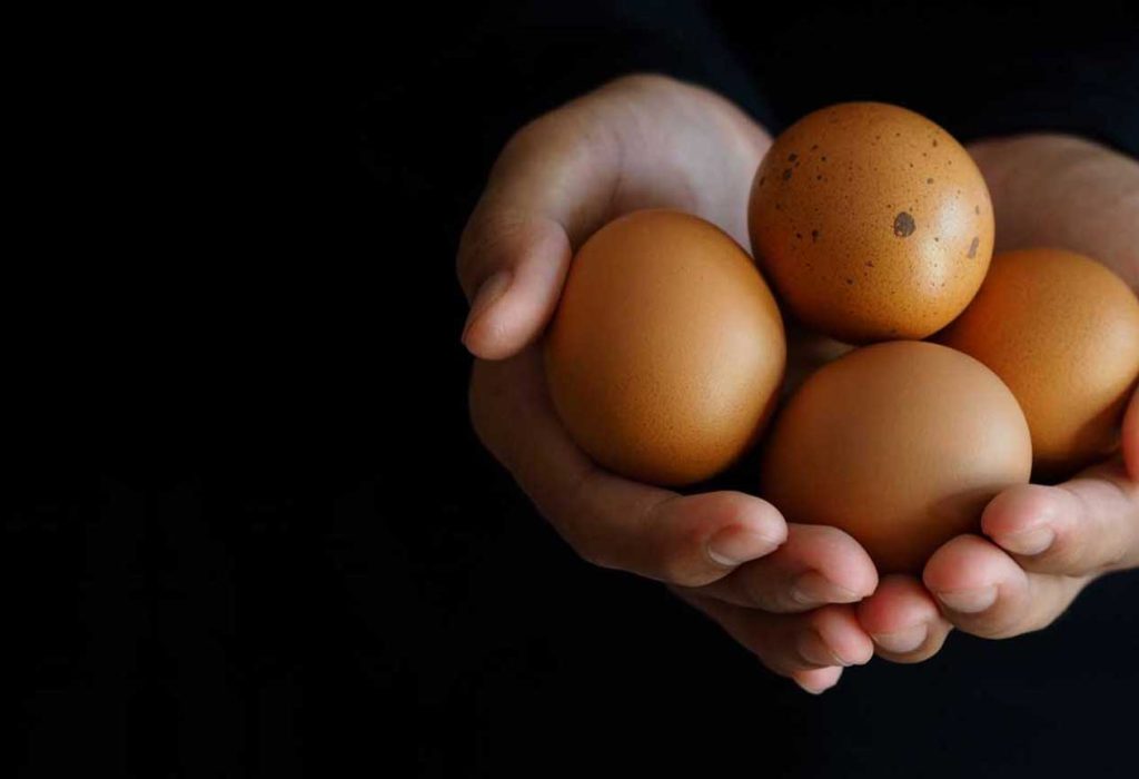 Which hen laid the egg?