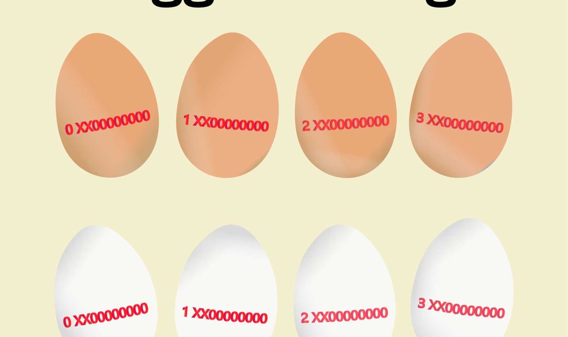 Where do eggs for food use come from?
