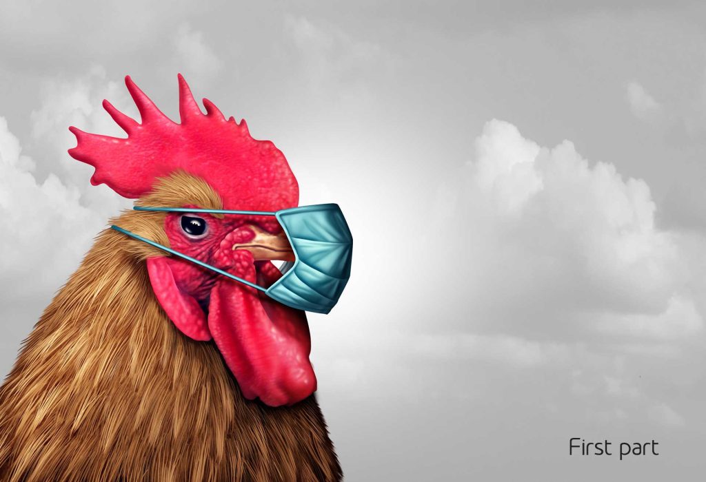 Avian influenza (AI): where, how, when (part one)