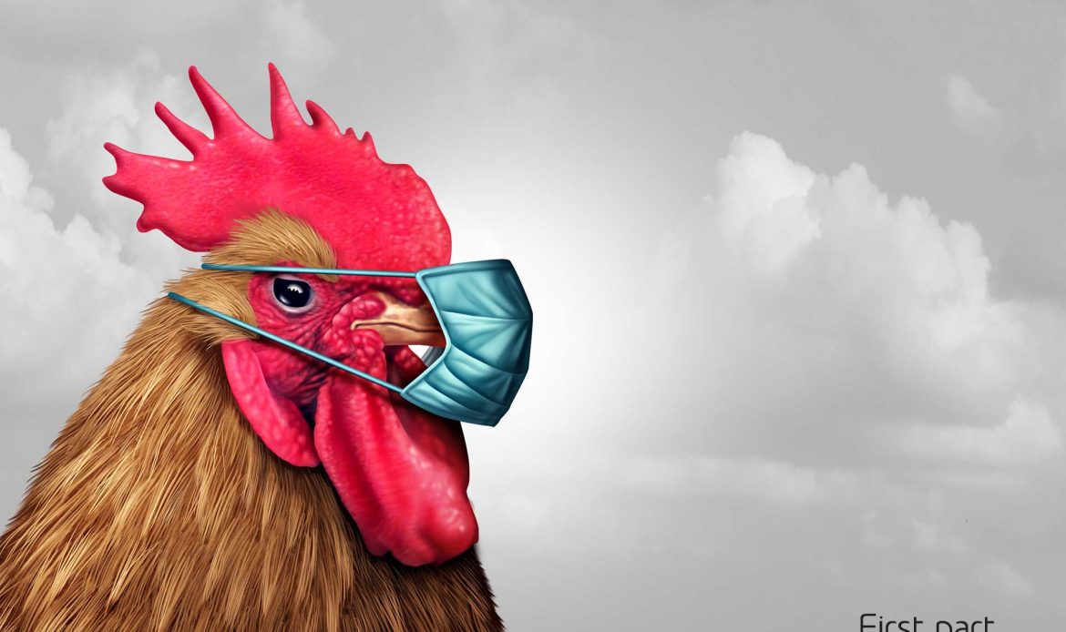 Avian influenza (AI): where, how, when (part one)