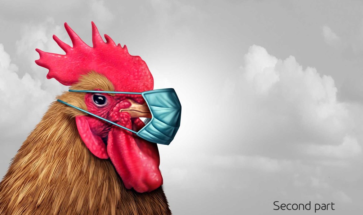 Avian influenza (AI): where, how, when (part two)