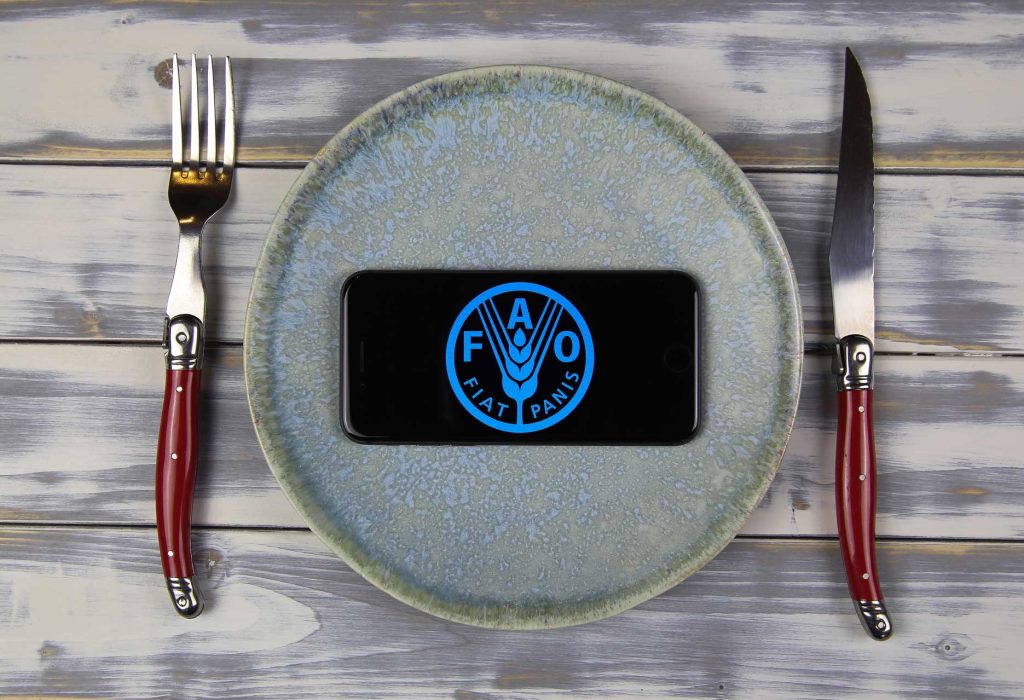 THE ANIMALS WE EAT, WHAT DO THEY EAT?