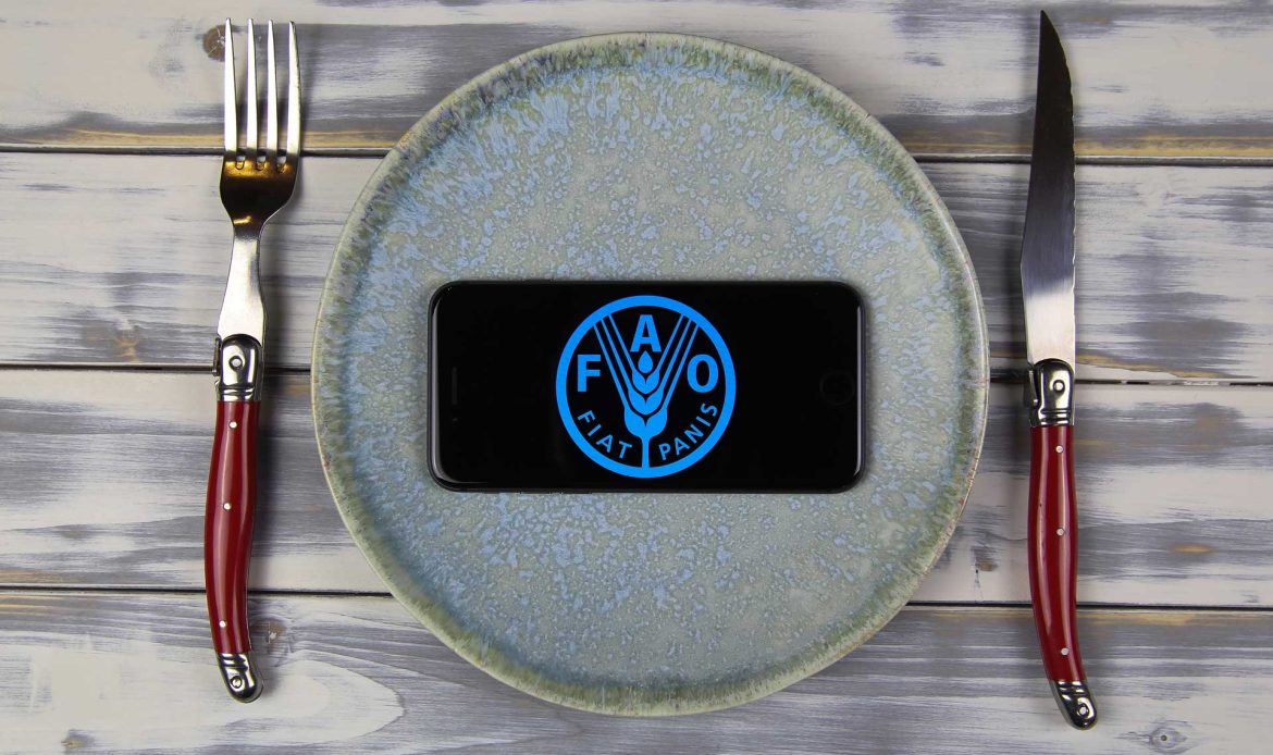 THE ANIMALS WE EAT, WHAT DO THEY EAT?