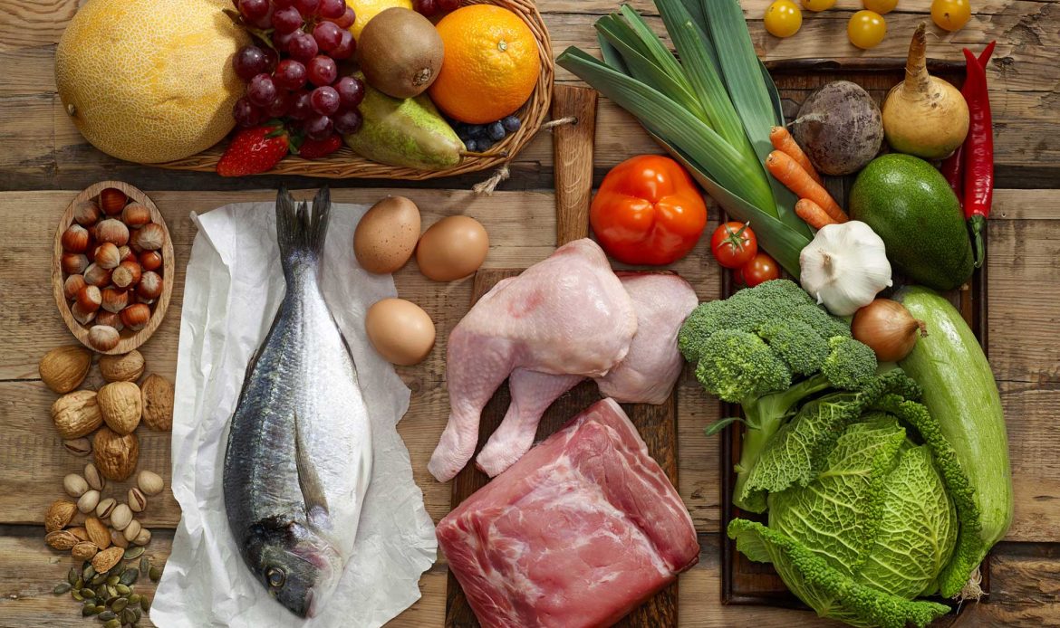 PLANT LIFE AND ANIMAL LIFE: EVERYTHING WE EAT USED TO BE ALIVE!