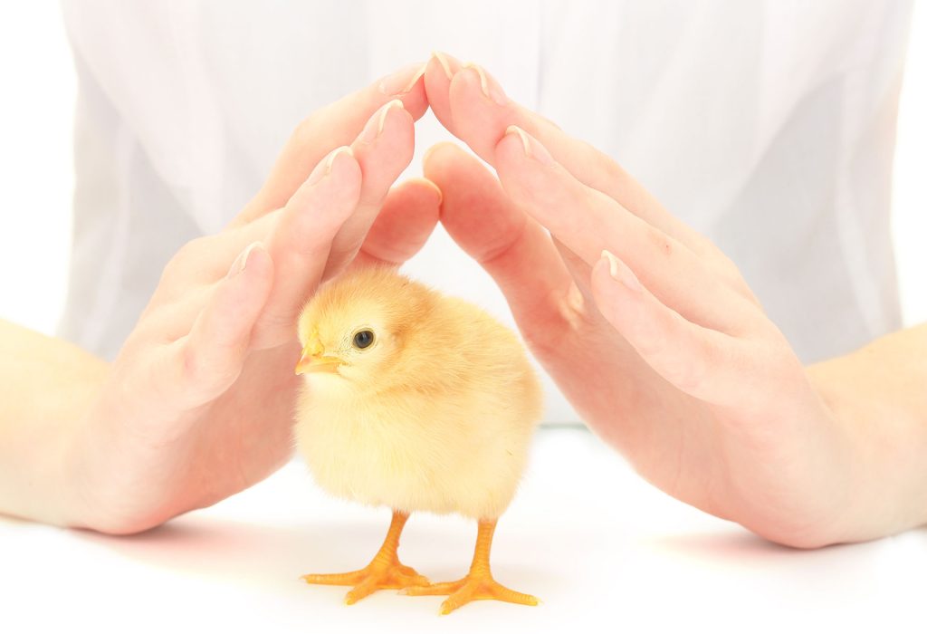 Call them ‘Intensively Protected’ farms!