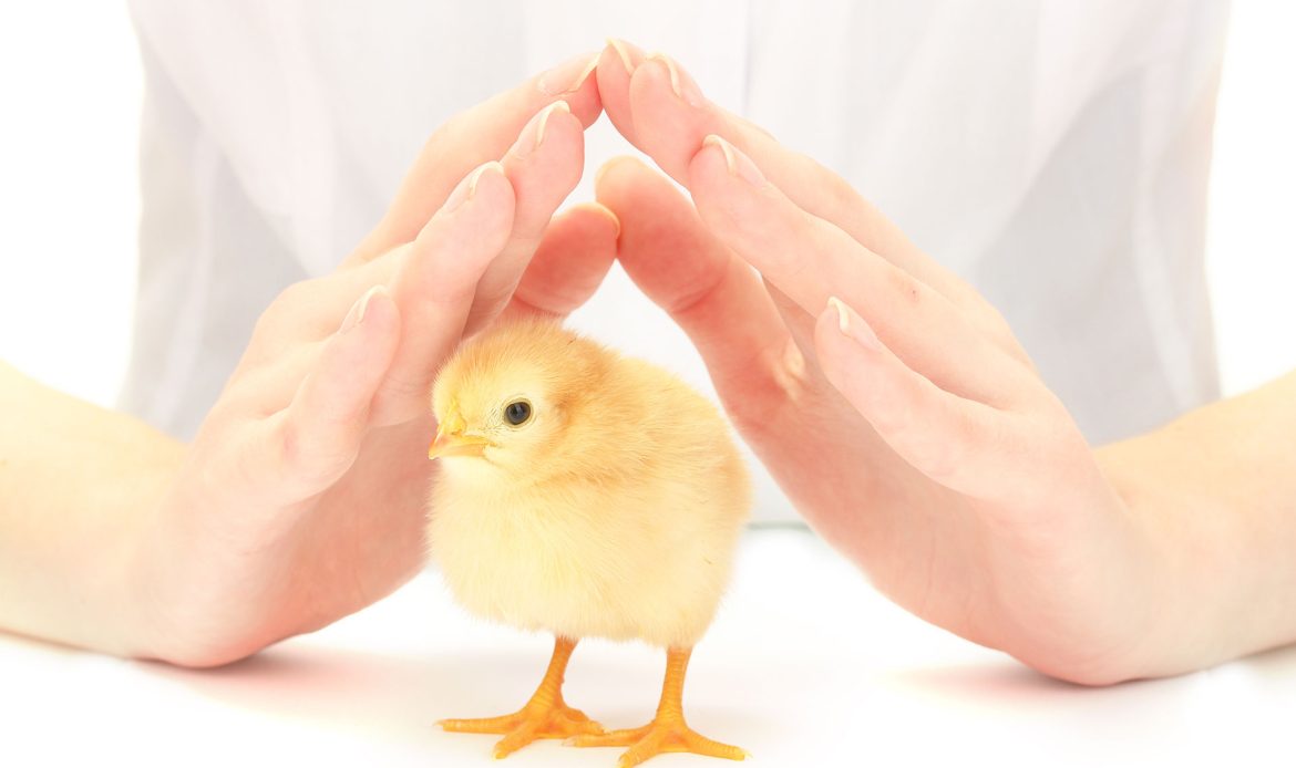 Call them ‘Intensively Protected’ farms!