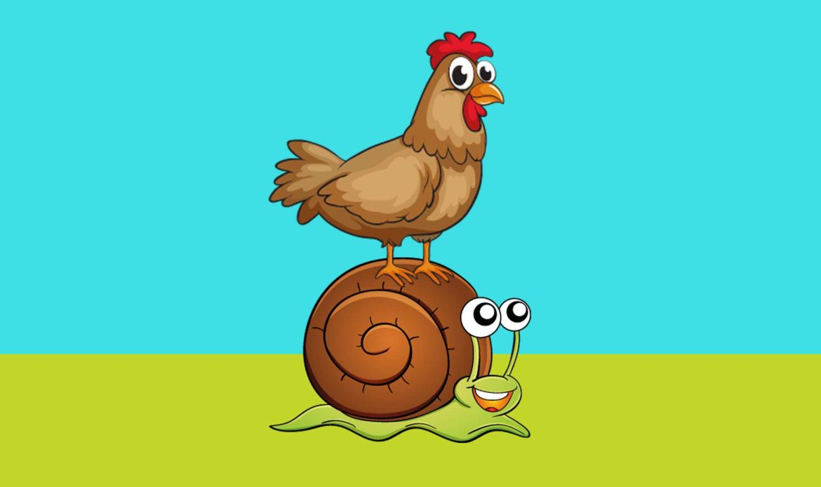 Why do slow-growing chickens cost almost twice as much?