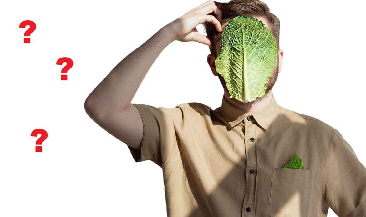 What would happen if the world went completely vegan?