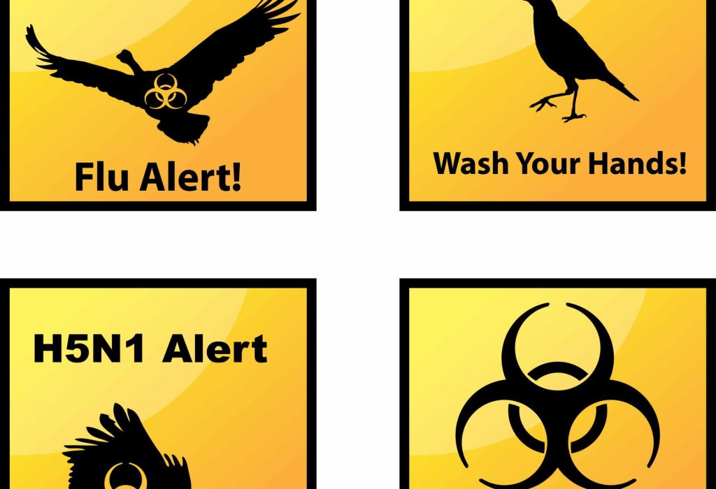 AVIAN INFLUENZA: What really is bird flu? Who should we believe?