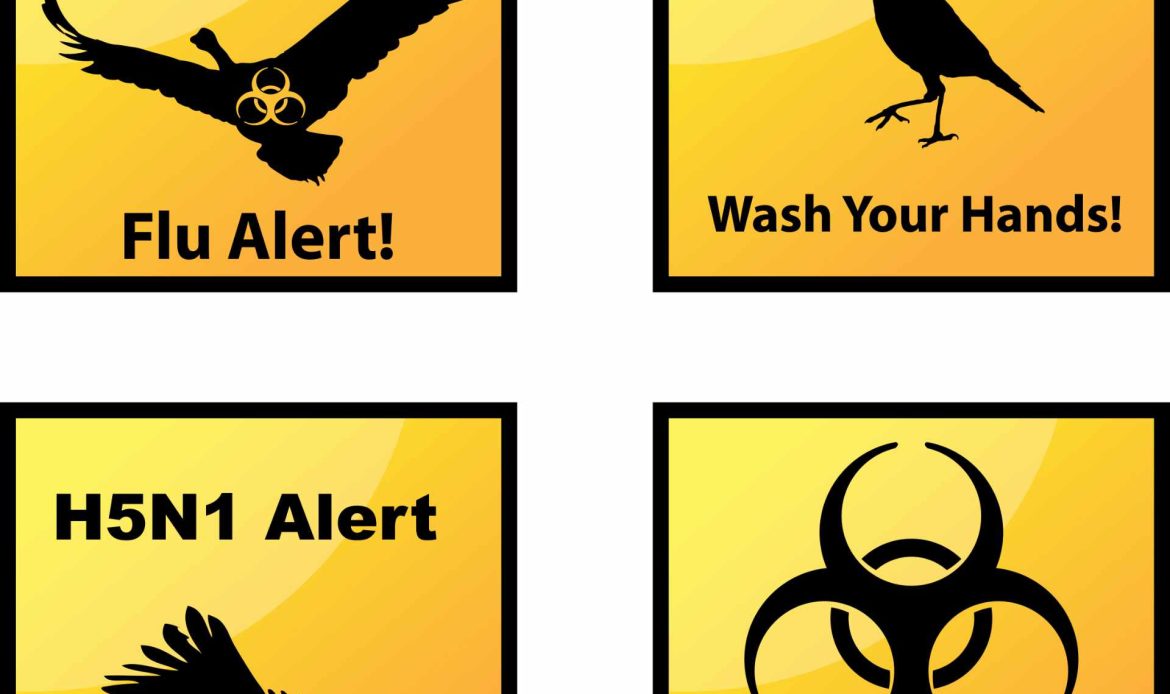 AVIAN INFLUENZA: What really is bird flu? Who should we believe?