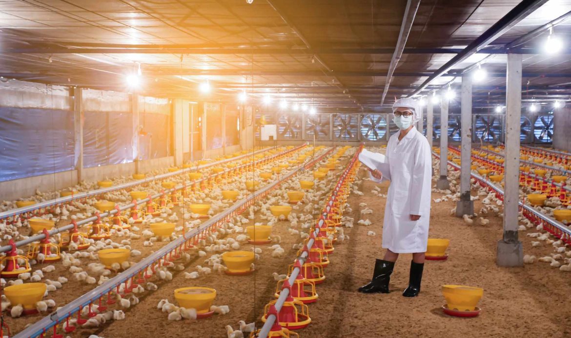 Animal welfare? On protected farms it is a prerequisite for consumer and farmer welfare