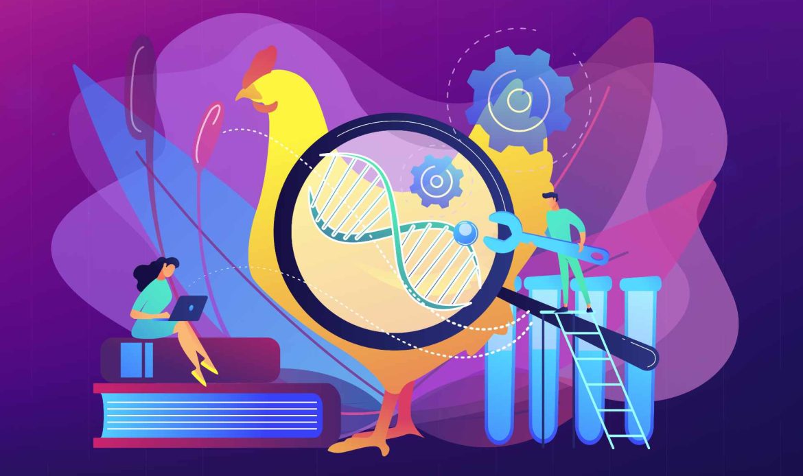 Genetics is misunderstood