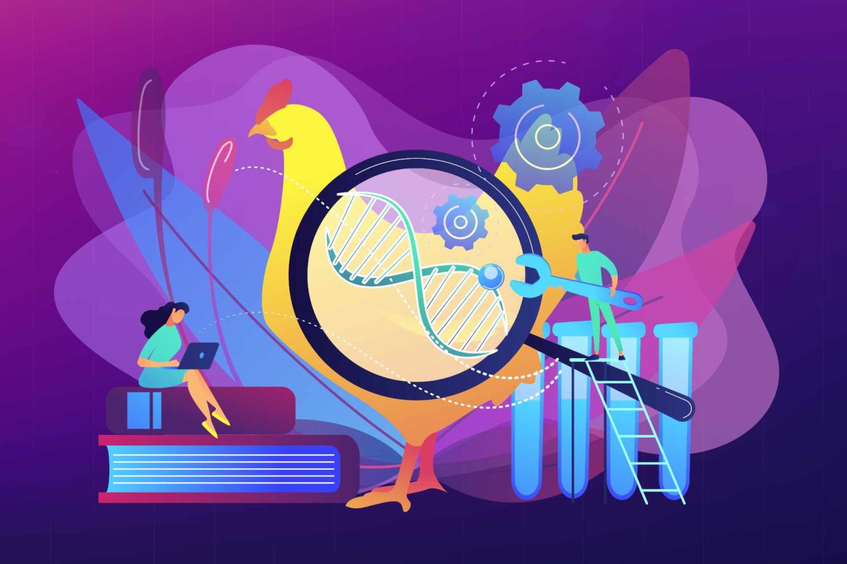 Genetics is misunderstood