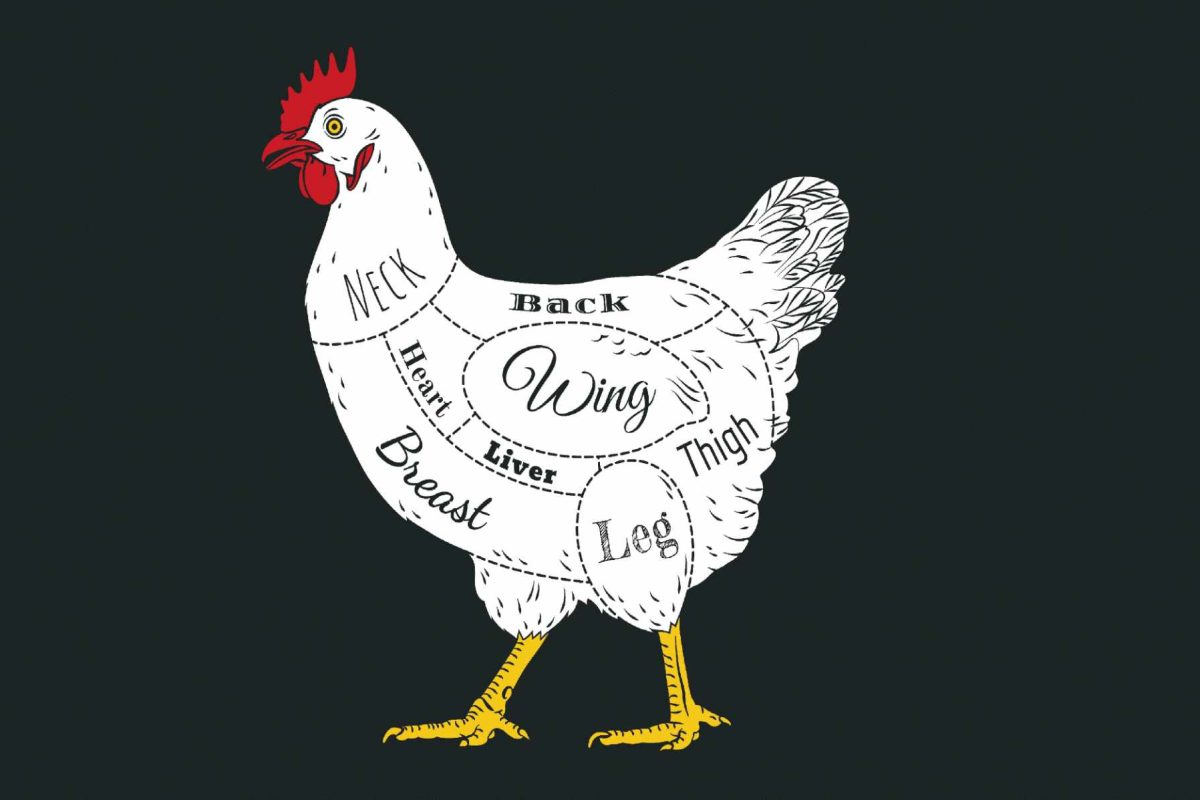 Chicken feeds the whole world