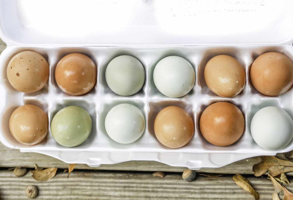 How many colours can a hen’s egg shell be?