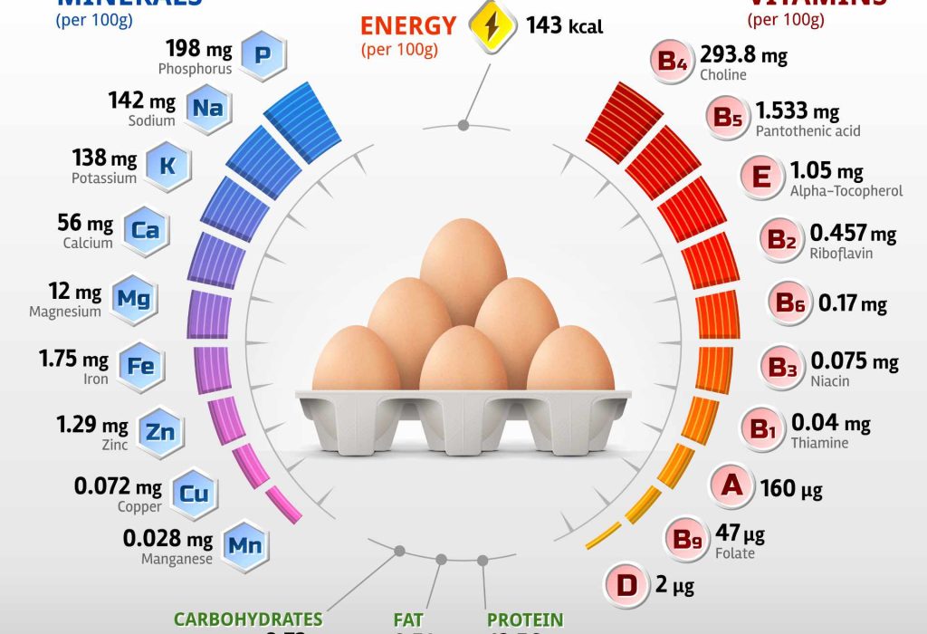 How does the hen’s egg feed us?