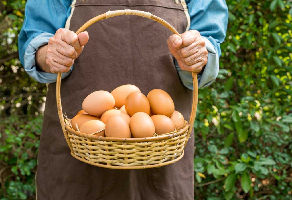 The neighbour’s eggs