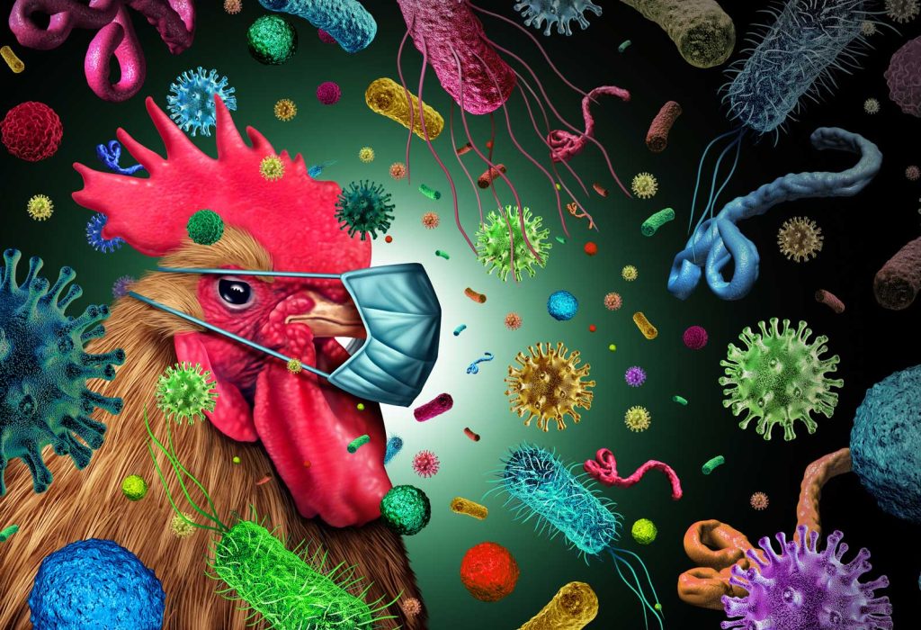 From Italy: CIWF insinuates: ‘Deadly viruses; what’s that got to do with our food?’