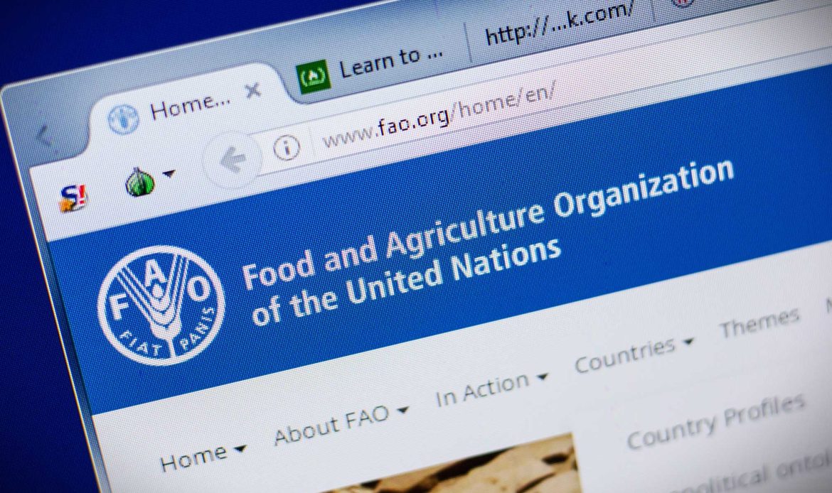 The world is hungry. FAO talks about it