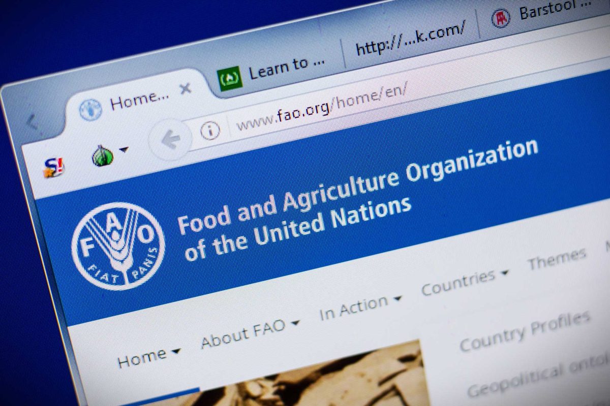 The world is hungry. FAO talks about it