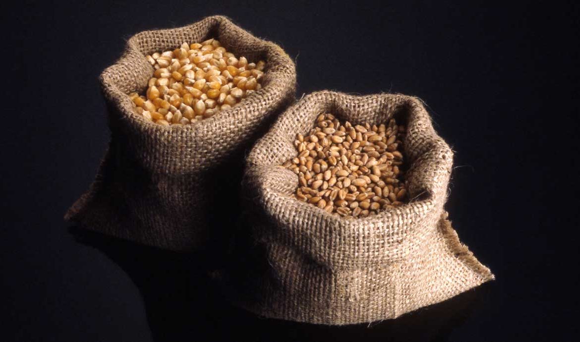 What feed do farmers buy for their chickens and hens?