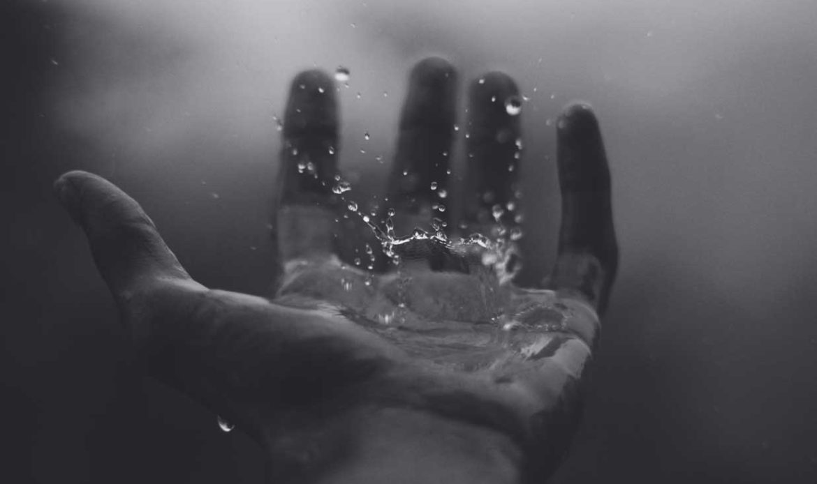 Mankind has no other way of finding food than cultivating, fishing, hunting and breeding