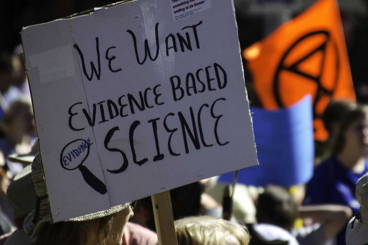 Animal rights activists also attack the F.A.O.