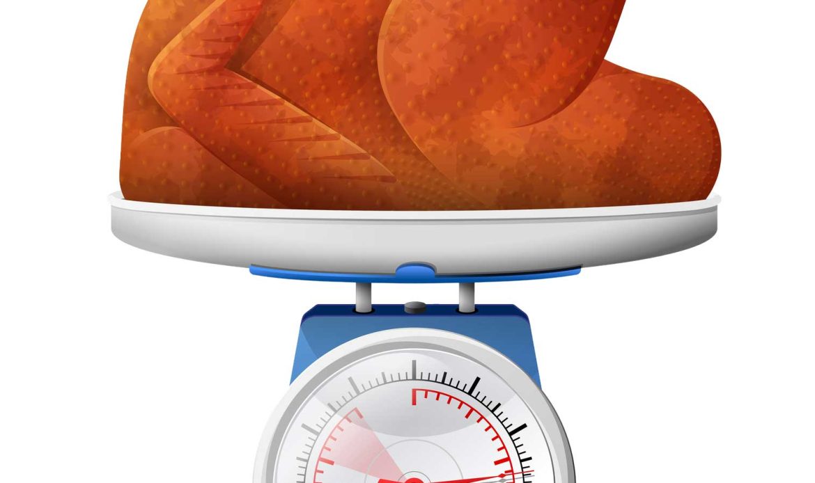 How much does a broiler chicken weigh?