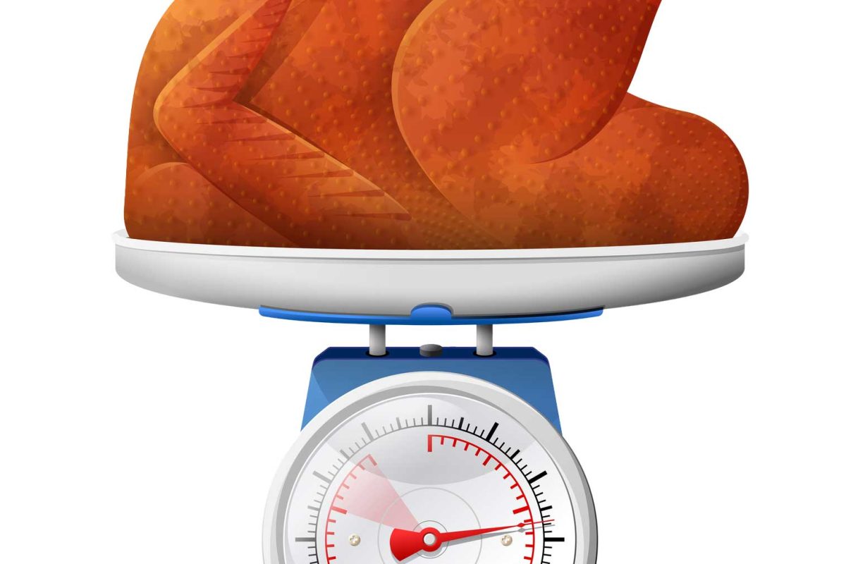 How much does a broiler chicken weigh?