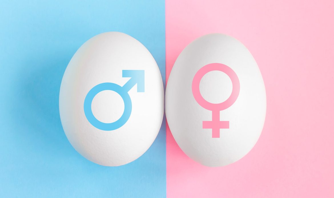 The new frontier to avoid male chick culling in-ovo sexing using magnetic resonance imaging and artificial intelligence