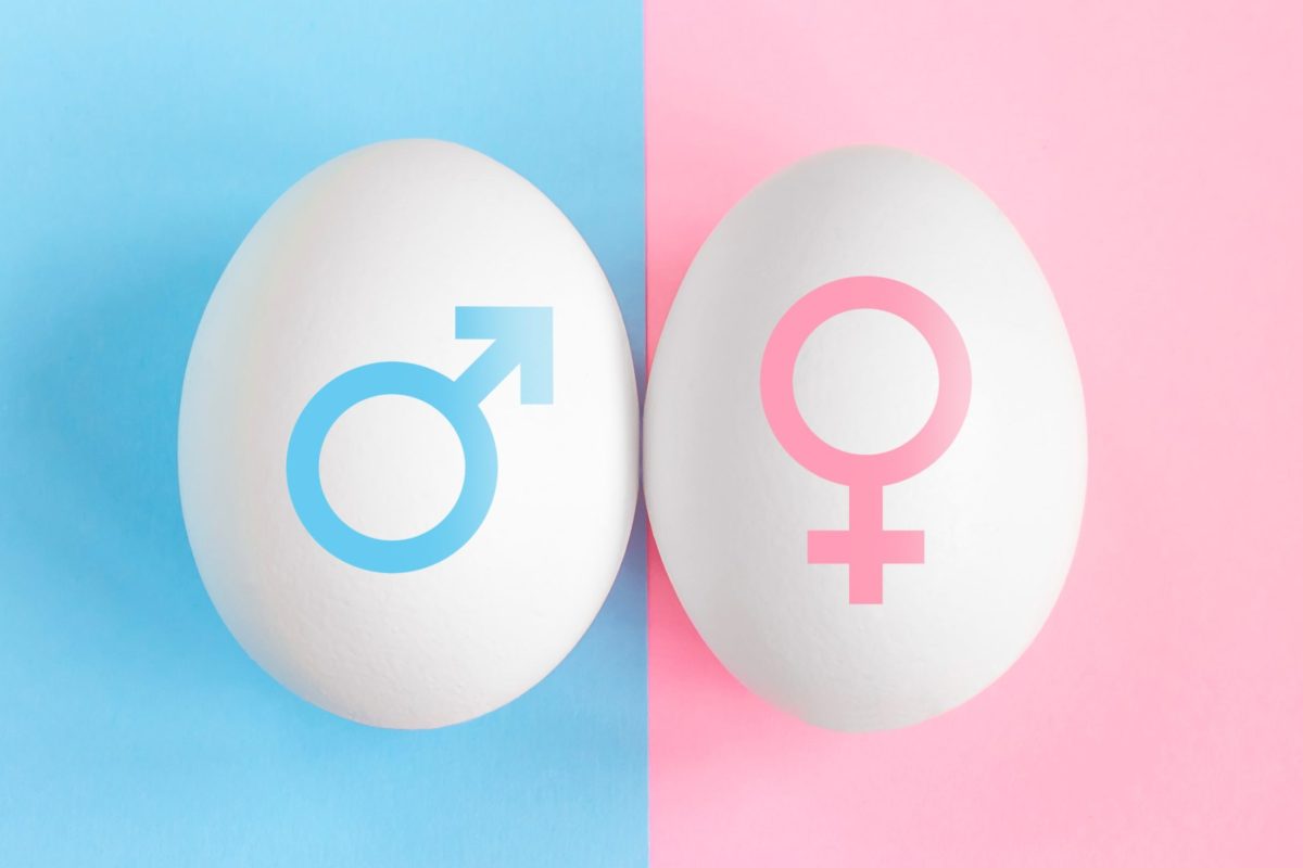 The new frontier to avoid male chick culling in-ovo sexing using magnetic resonance imaging and artificial intelligence