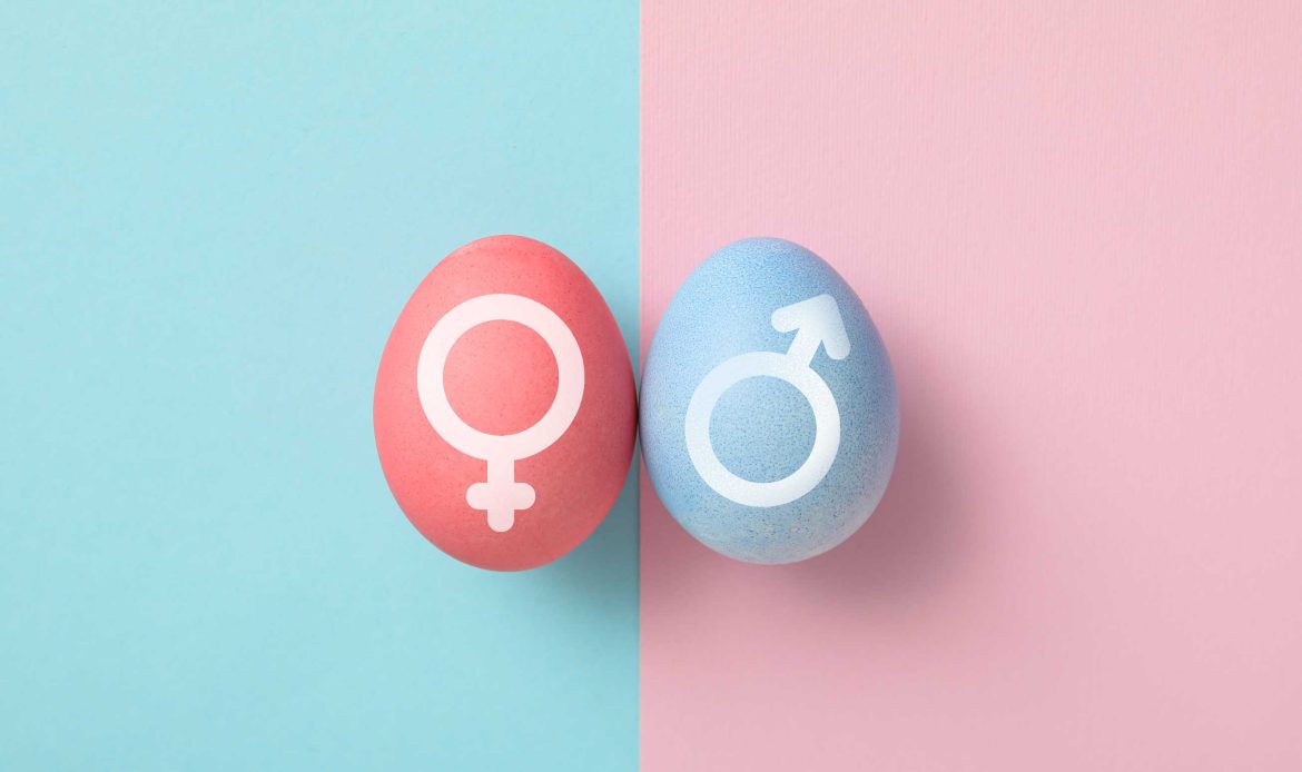 Sex determination in the embryonic stage