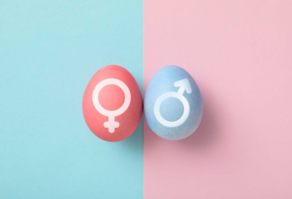 Sex determination in the embryonic stage