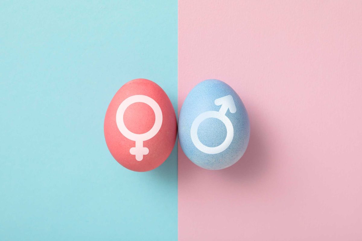 Sex determination in the embryonic stage