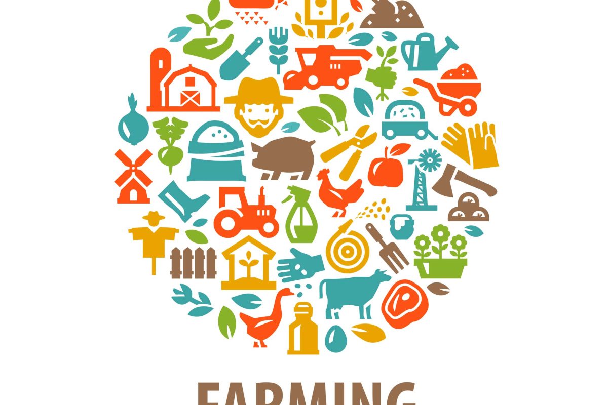 Farming: a job we know little about