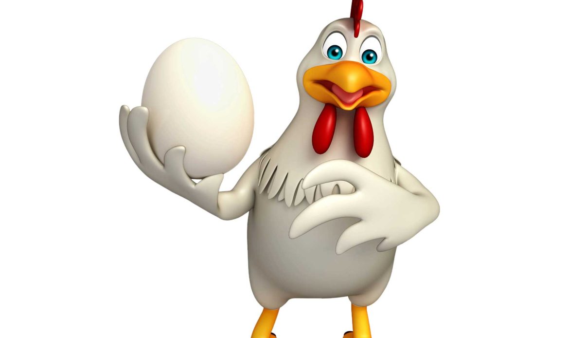 Chickens or hens? The differences