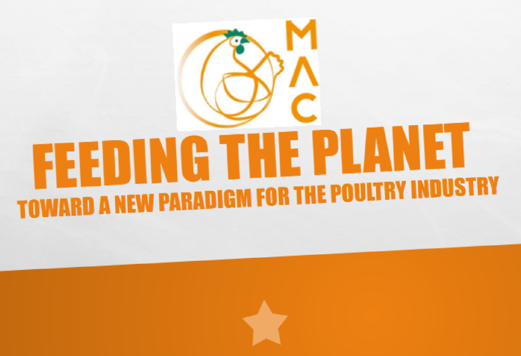 Feeding the Planet: Toward a New Paradigm for the Poultry Industry