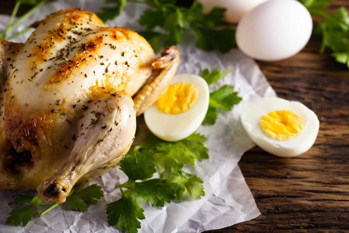 Is there a chicken that can provide both meat and eggs?