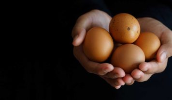 Are some eggs “better” than others?