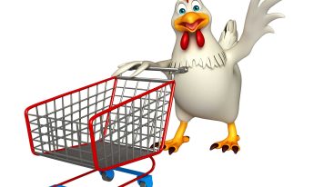 Current situation of the global poultry sector (September 2025)