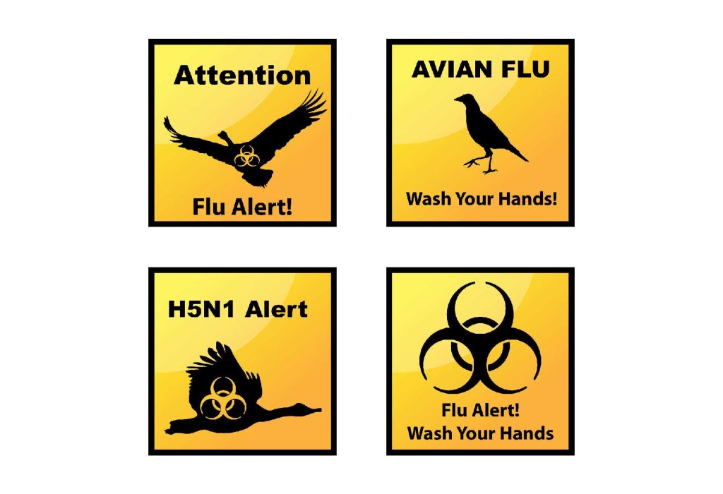Avian influenza: context, management and risks to human health