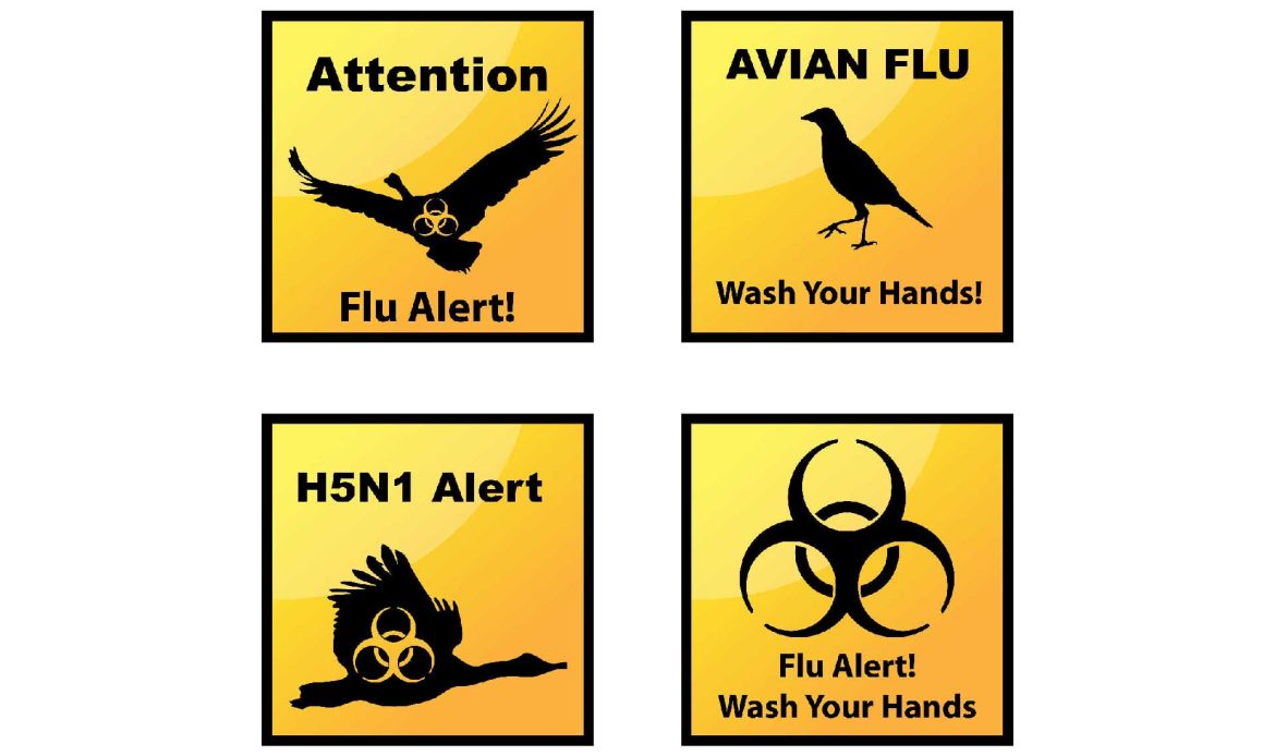 Avian influenza: context, management and risks to human health