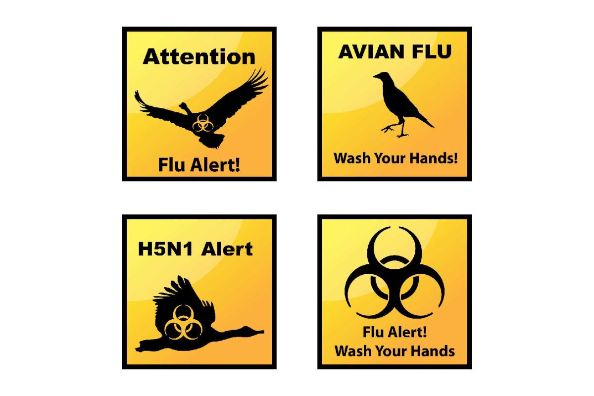 Avian influenza: context, management and risks to human health