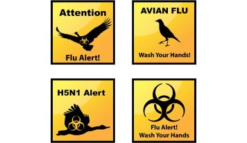 Avian influenza: context, management and risks to human health