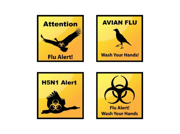 Avian influenza: context, management and risks to human health