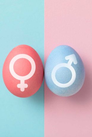 News from in-ovo sexing around the world